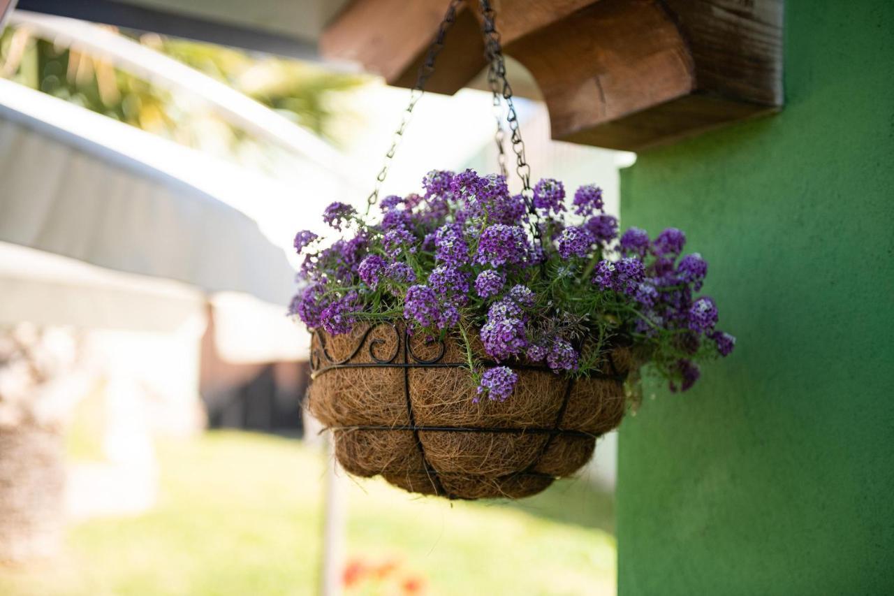 Sa Domixedda Casa vacanze *